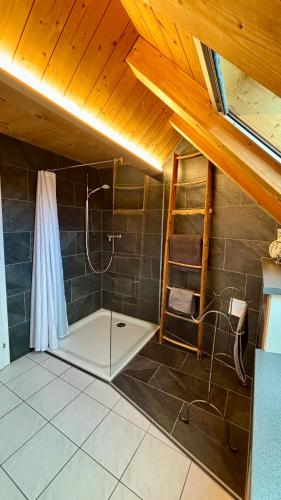 a bathroom with a shower in a attic at Rosenhüsli in Gerzensee