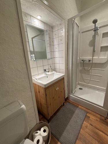 a bathroom with a sink and a shower and a toilet at B&B Les Soigneurs in Grandmenil