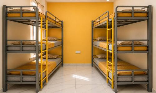 two bunk beds in a room with yellow walls at Homies Homestay Boys Hostel in Kurukshetra