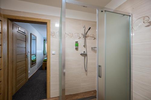 a shower with a glass door in a bathroom at Vinný sklep u Křížů in Milotice