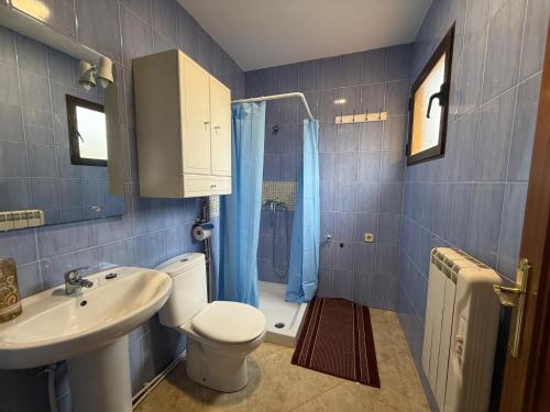 a bathroom with a toilet and a sink and a shower at Alojamiento Rural Ambite in Ambite