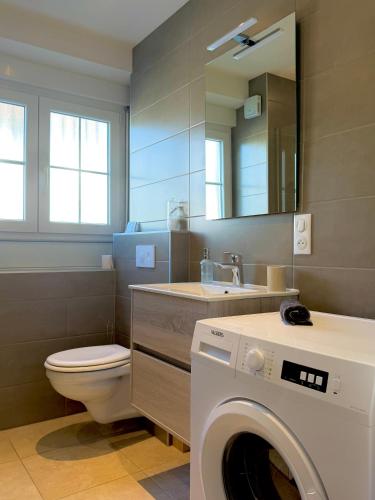 a bathroom with a toilet and a sink and a washing machine at L'échappée Belle "15 min Europa Park" in Rhinau