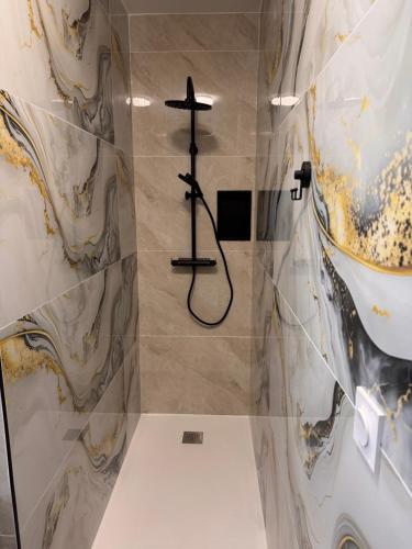 a bathroom with a shower with a cross on the wall at Voiron centre - De Tassigny in Voiron