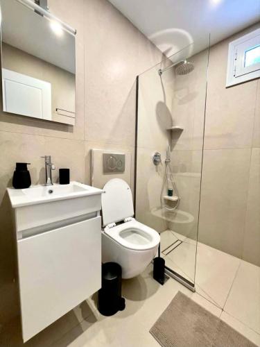 a bathroom with a toilet and a sink and a shower at Myrtia Apartments in Divarata