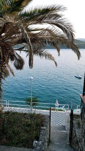 a view of a body of water with a palm tree at Seacoast apartments MELIHA in Neum