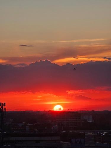 Masini Sunset photo 10