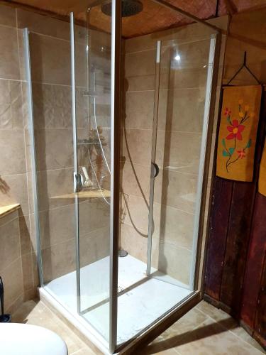 a shower with a glass door in a bathroom at Studio l'envoûté in Saint-Rome-de-Tarn
