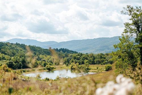 a river in a field with mountains in the background at Clonmel Acres in Afton