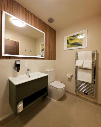 a bathroom with a toilet and a sink and a mirror at Dorset Resort Hotel in East Stoke