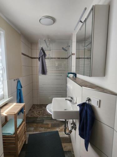a bathroom with a sink and a mirror at Ferienwohnung Am See 55 in Bad Saarow
