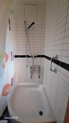 a bath tub in a bathroom with a shower at Spalentor City Apartement in Basel