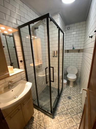 a bathroom with a shower and a sink and a toilet at Irini Seaside Apartment in Paleo Tsifliki