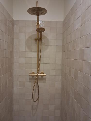 a shower with a shower head in a tiled bathroom at La grange famille in Tournans