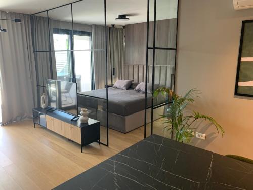 Superior Apartment with private jacuzzi