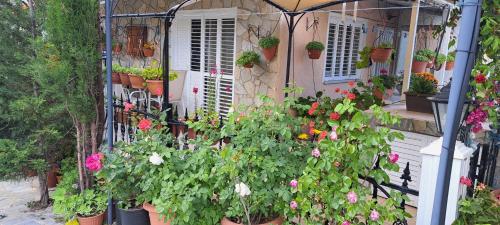a bunch of flowers in pots on the side of a house at Kyperounta Troodos Mountain House! in Kyperounda