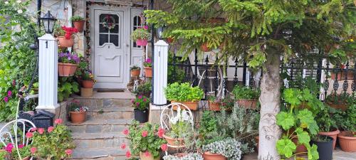 a house with potted plants and a white door at Kyperounta Troodos Mountain House! in Kyperounda