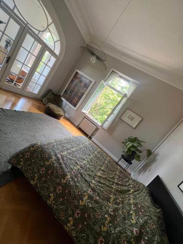 a bedroom with a bed and two windows at Chez Léopold II in Verviers