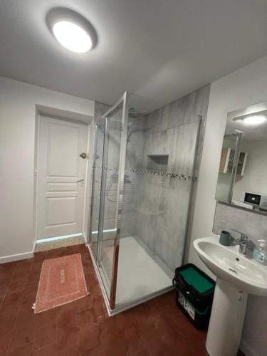 a bathroom with a shower and a sink at Les Nids in Dieppe