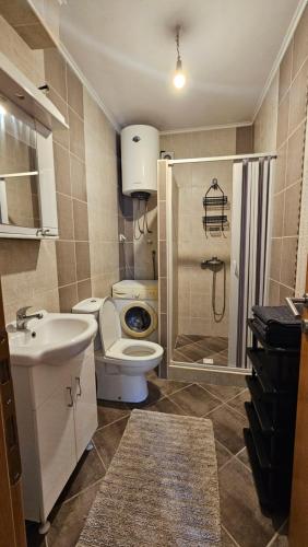 a bathroom with a toilet and a sink and a shower at Aura Bay Cozy Studio in Kotor