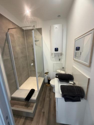 a bathroom with a shower and a sink at Maison campagne proche A75 in Vergongheon