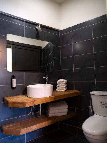 a bathroom with a sink and a toilet at Semantron Traditional Village in Diakopto