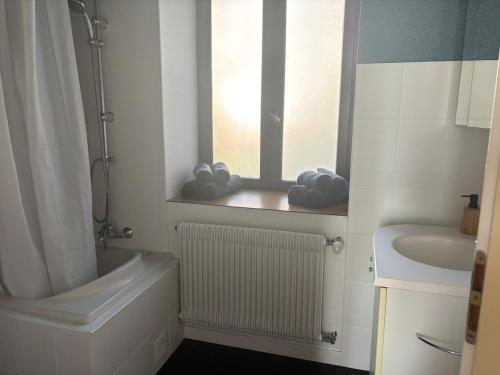 a bathroom with a shower and a sink and a window at Appartement - Baume-les-Dames in Baume-les-Dames