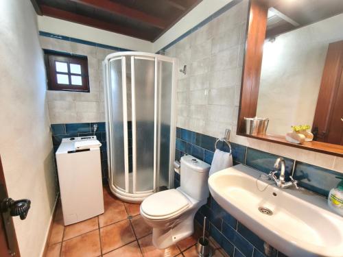 a bathroom with a shower and a toilet and a sink at Panchita in Garafía
