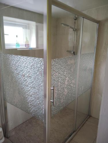 a shower with a glass door in a bathroom at New Ross Farm Cottage in New Ross