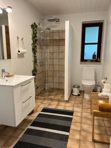a bathroom with a shower and a sink and a toilet at Driverhuset B&B in Grindsted