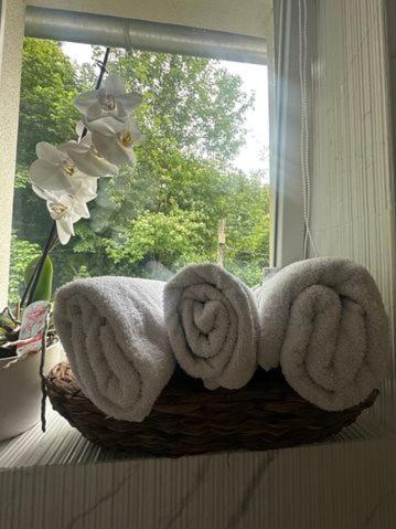 a basket of towels sitting in a window at Apartment Studio Aurora in Bad Schandau
