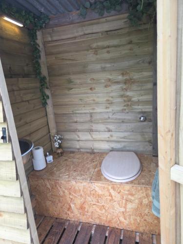 a bathroom with a toilet in a wooden wall at Bovey Heath Retreat in Bovey Tracey