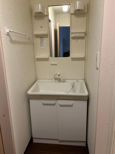 a bathroom with a white sink and a mirror at Shalom House Yokosuka in Yokosuka