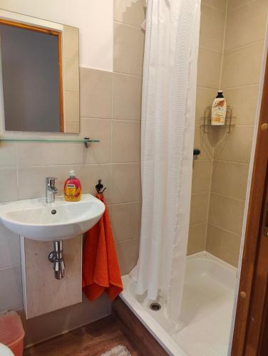 a bathroom with a sink and a shower at Viesu Nams Vilhelmīne in Līgatne