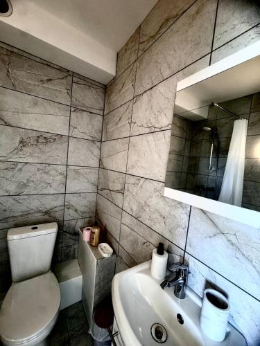a bathroom with a white toilet and a sink at La Résidence Urbaine in Mulhouse