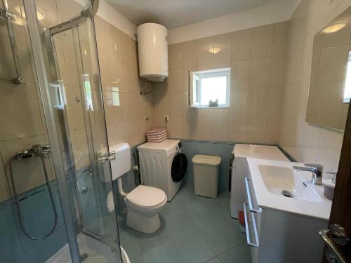 a bathroom with a toilet and a sink and a shower at Nany-Villa with heated pool in Trolokve