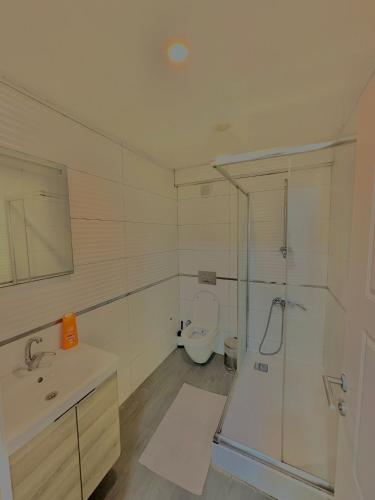a bathroom with a toilet and a shower and a sink at Green Suite in Istanbul