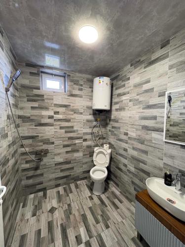 a bathroom with a toilet and a sink at Mamuka's Guesthouse in Udabno