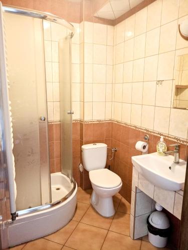a bathroom with a toilet and a sink and a shower at Dwór Dziekanów in Zielonki