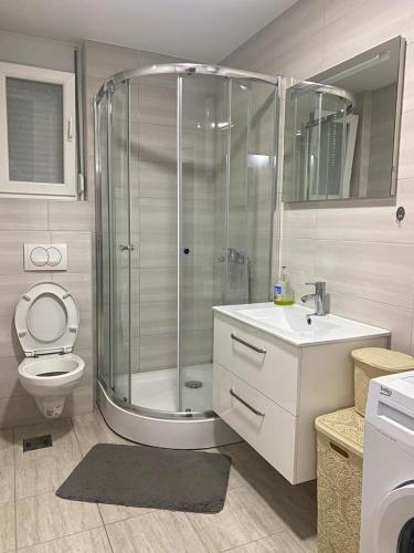 a bathroom with a shower and a toilet and a sink at Marina Luka in Bar