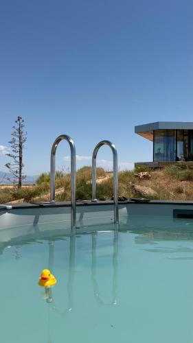 a swimming pool with a rubber duck in the water at La Casa del Desierto in Gorafe
