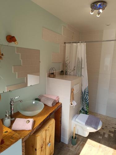 a bathroom with a sink and a toilet at Ptit Ranch "Ô Rêves Atypiques" spa privatif in Boucé