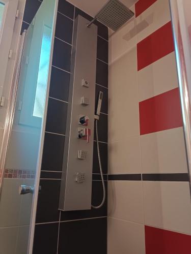 a shower in a bathroom with black and white tiles at Chambres Tricastine et Venise in Saint-Paul-Trois-Châteaux