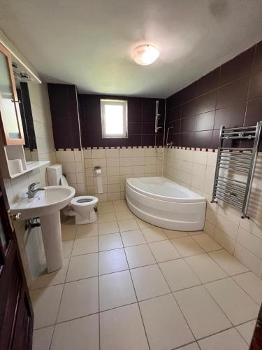 a bathroom with a tub and a toilet and a sink at Vlădești house in Vlădeşti