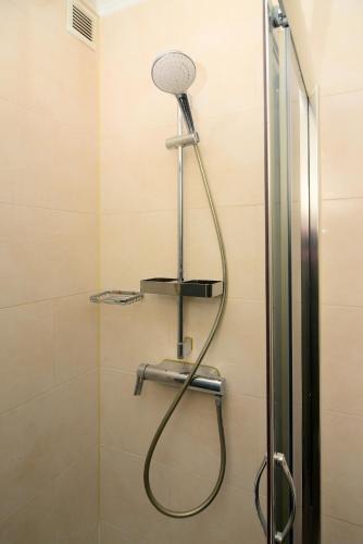 a shower with a shower head in a bathroom at Brunnenhof - Serviced Apartments in Bekond