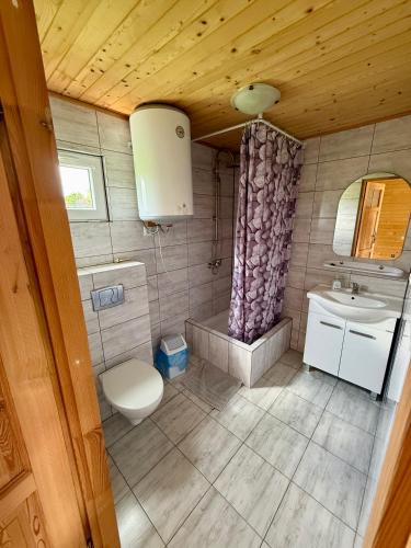 a bathroom with a toilet and a sink at Gościniec u Dzięcioła in Milonki
