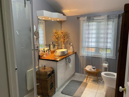 a bathroom with a sink and a toilet at Gite du Lac Docteur in Saint-Honoré