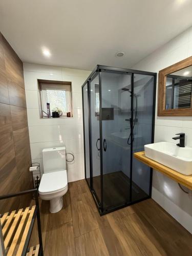 a bathroom with a shower and a toilet and a sink at Domek Matyjówka in Ustrzyki Dolne