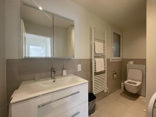 a bathroom with a sink and a toilet at Residenza Bettina BnB & Ferienwohnungen in Ronco sopra Ascona