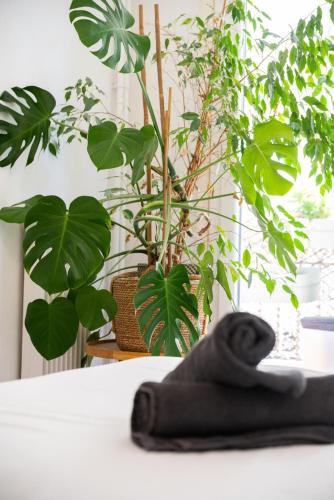 Bright & Cozy - Large Sunny Terrace