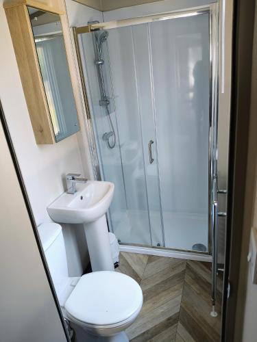 a bathroom with a toilet sink and a shower at Rosie Caravan Selsey in Selsey